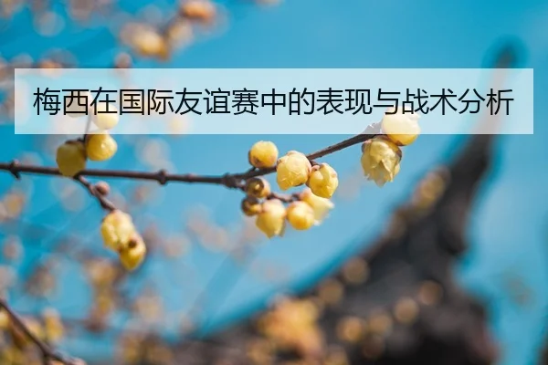 mei-xi-zai-guo-ji-you-yi-sai-zhong-de-biao-xian-yu-zhan-shu-fen-xi-2-193.jpg