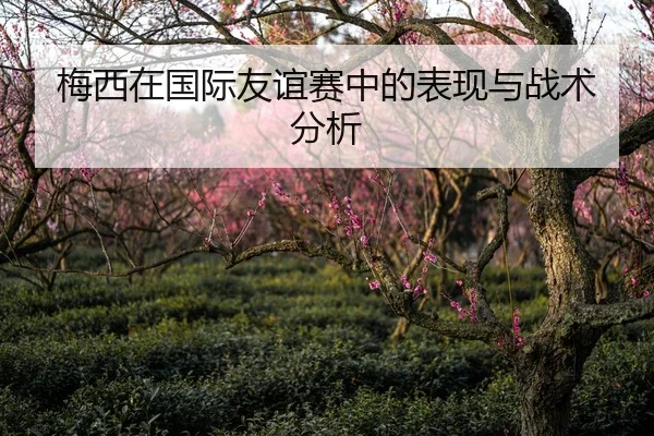 梅西在国际友谊赛中的表现与战术分析
