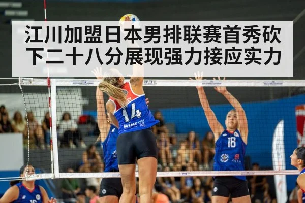 volleyball match action
