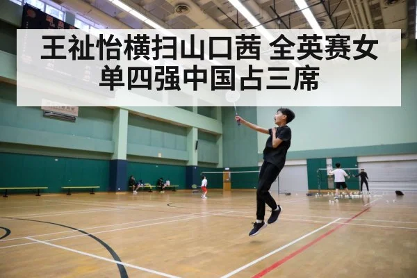 badminton court action